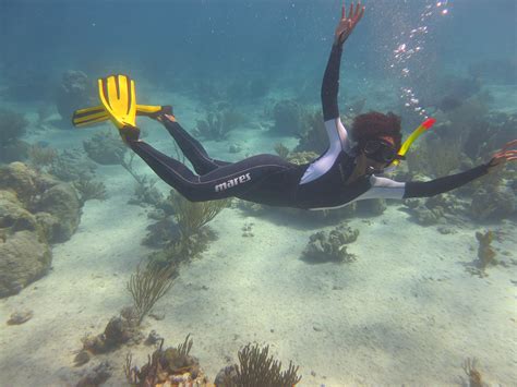 A Conversation With Dr Ayana Elizabeth Johnson Ocean Conservancy