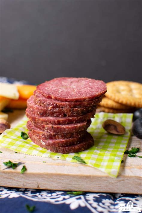 Homemade Beef Summer Sausage Recipe Hot Sex Picture