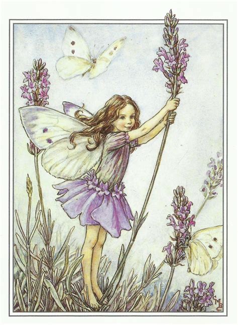 Lavender Fairy Cicely Mary Barker Flower Fairies Vintage Print Etsy