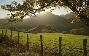 Nature, Landscape, Fence, Trees, Mountain, Morning, Field