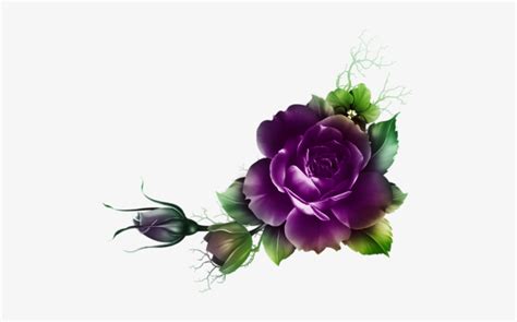 Download Flower Png Bibi Pat Purple Rose Border Png Transparent Png