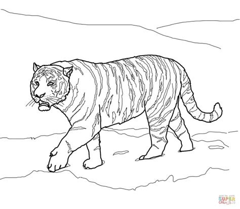 Get This Tiger Coloring Pages Realistic Animal Printables