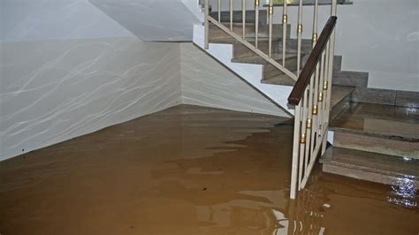 Ask An Expert Safely Cleaning Your Home After A Flood