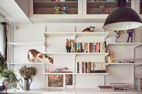 High Feline Design 10 Modern Homes With Built In Cat Friendly Features