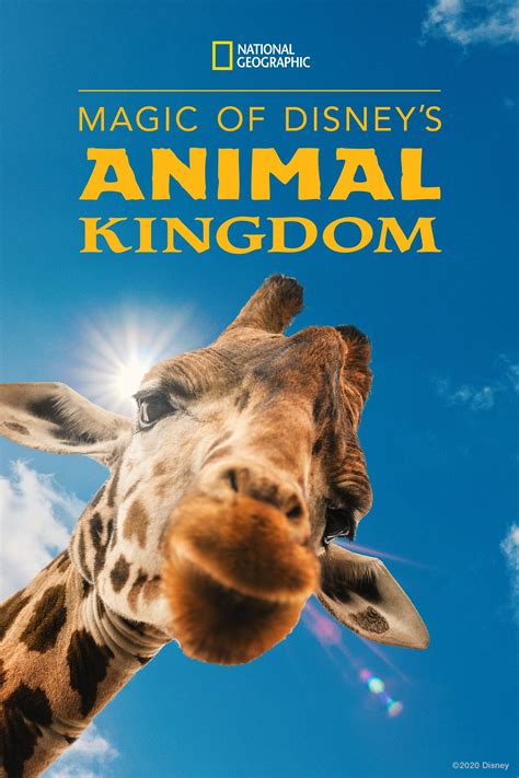 Download Magic.of.Disneys.Animal.Kingdom.S01.WEBRip.x264-ION10 torrent
