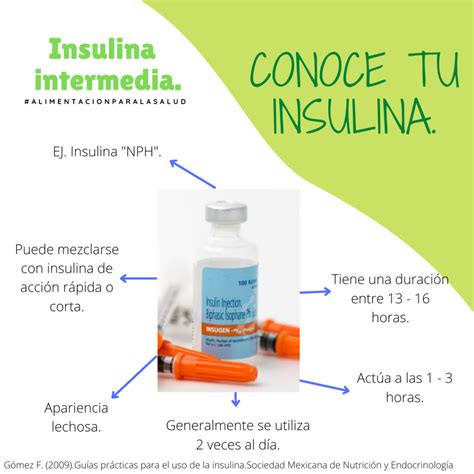 Insulina Intermedia Alimentación Y Salud