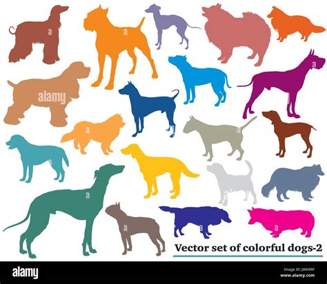 Vector Set Of Colorful Isolated Different Breeds Dogs Silhouettes On