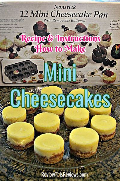 Mini Cheesecakes Recipe And Mini Cheesecake Pan Review