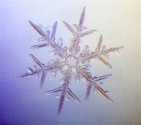 Photo Microscope View Of A Real Snowflake Showing The Classic 6 Sided