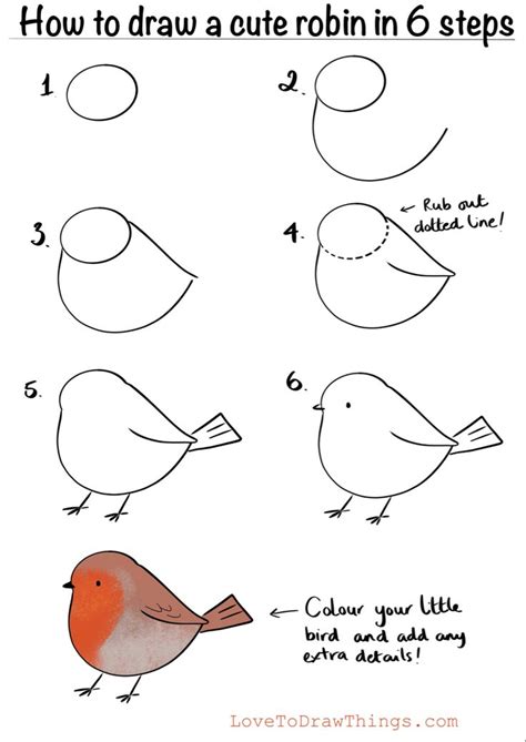 How To Draw A Cartoon Robin At How To Draw