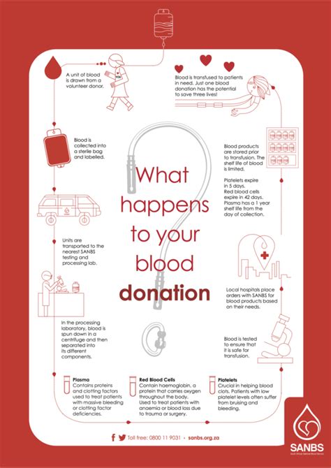 Donation Process Sanbs