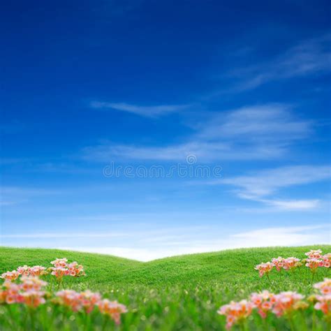 Spring Grass And Sky Stock Image Image Of Landscape 12260313