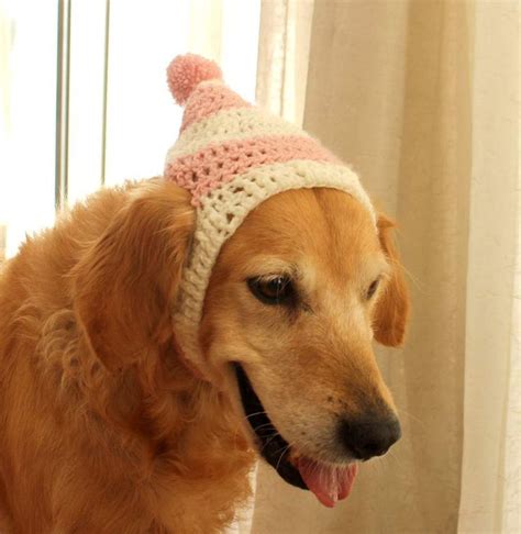 This Item Is Unavailable Etsy Dog Beanie Christmas Dog Hat Dog