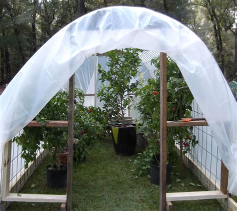 Temporary Greenhouse To Over Winter Our Citrus Trees And Tender Plants