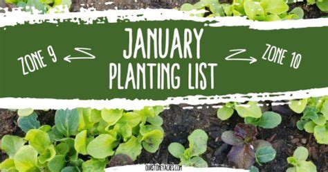 January Planting List Zones And Our Stoney Acres