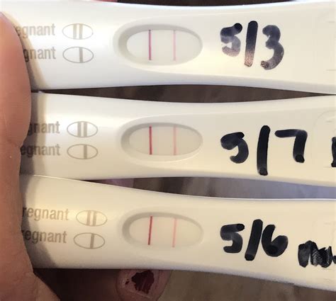 Pregnancy 5 Weeks 5 Days Pregnancywalls