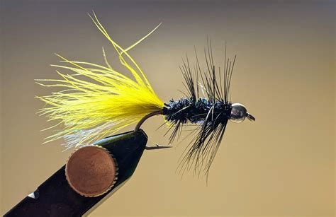 The Woolly Bugger More Than Just A Streamer Trout Unlimited