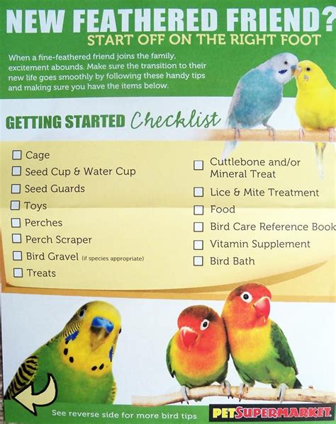 New Pet Bird Checklist Just Some Of The Basics For Bringing Your New