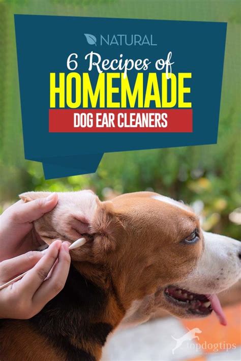How To Make Homemade Dog Ear Cleaner 6 Natural And Simple Recipes