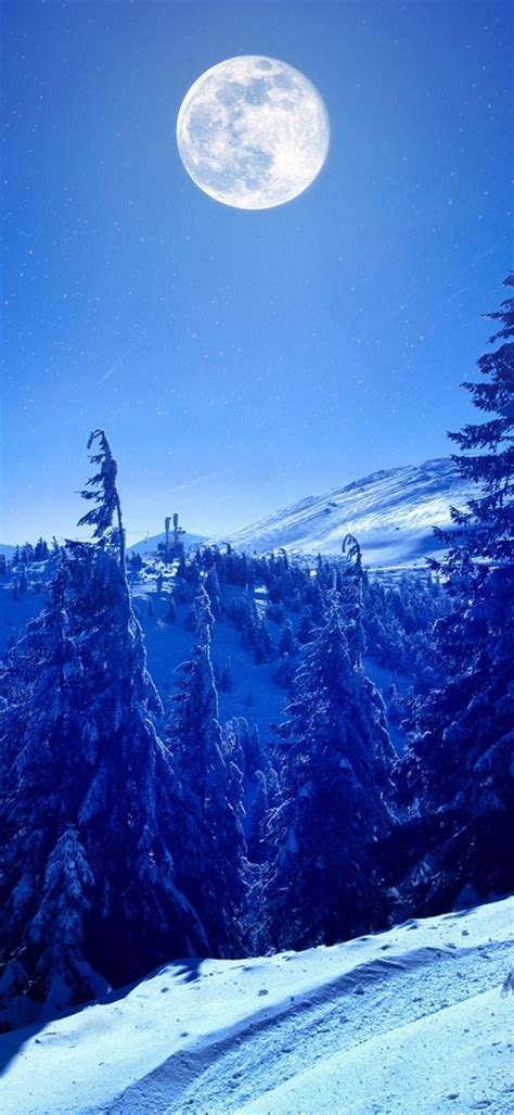 1080x2340 Full Moon Over Winter Forest 1080x2340 Resolution Wallpaper