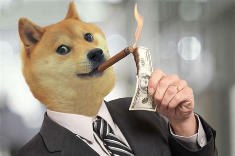 Learn about the dogecoin price, crypto trading and more. Dogecoin (DOGE): Price Analysis, Jan.01 - CryptoNewsZ