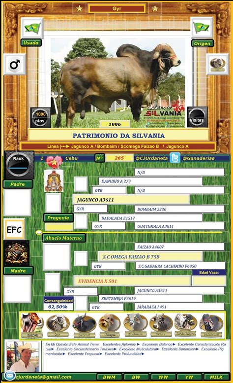 See the complete list of animals that start with the letter j. CEBÚ ♥ ♥ ♥ ZEBÚ♔♕♖♗♘ LA PASIÓN POR EL #CEBÚ #ZEBU ...