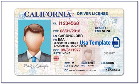 Free Fake Drivers License Template Psd