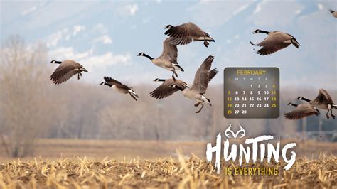 Duck Hunting Backgrounds ·① Wallpapertag