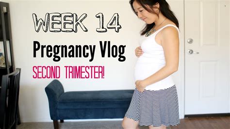 Week 14 Pregnancy Vlog Second Trimester Youtube