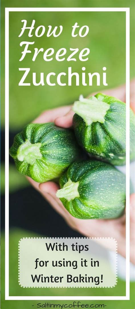 Stock your freezer with fresh zucchini noodles, zucchini slices, and zucchini coins to enjoy a taste of summer test kitchen tip: Freezing zucchini for winter baking is easy! Here's how we ...