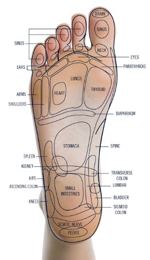 Reflexology, on the other hand, is a massage technique that was practiced during the egyptian era and involves the application of pressure to specific points, therefore. 7 Benefits Of Foot Reflexology: Why You Need To Get A Foot ...