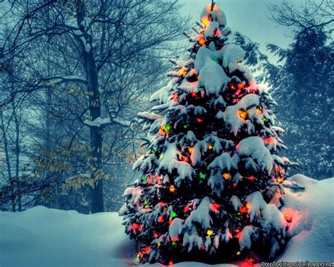 Christmas Tree Landscape Wallpapers Wallpaper Cave