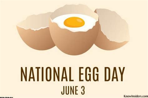 National Egg Day History Significance Celebrations And Interesting