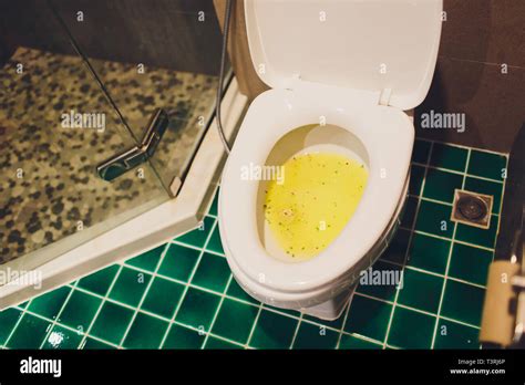 Flushing Sperm Down The Toilet Sex Gallerie