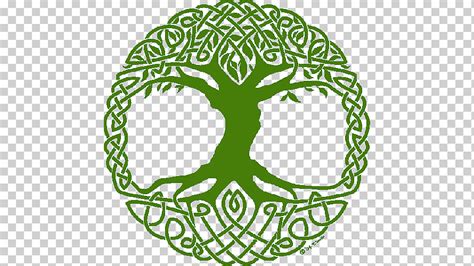 Tree Of Life Norse Mythology Yggdrasil Symbol Celtic