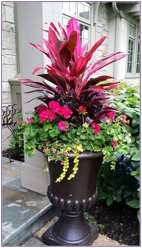 22 Container Gardening Flowers Ideas You Should Look Sharonsable