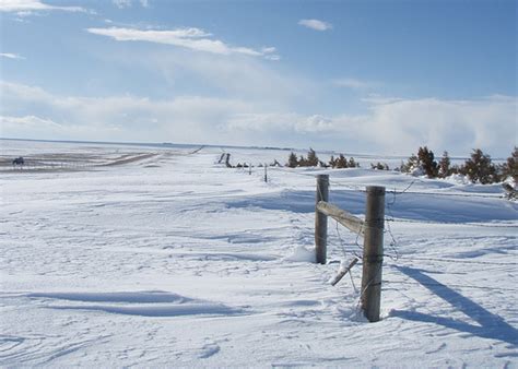 Colorado Communities Benefit From Protection Of Living Snow Fences Usda