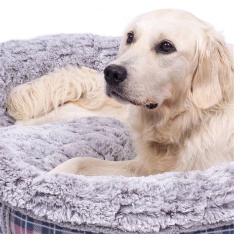 Comforting Grey Soft Round Donut Dog Bed By Blackdown Lifestyle