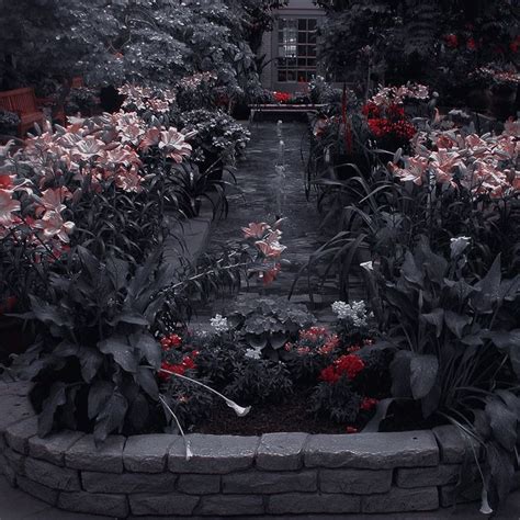 𖣘𝄃 𝗔𝗘𝗦 𝗜𝗖𝗢𝗡 ⁂ 𝖯𝗂𝗇𝗍𝖾𝗋𝖾𝗌𝗍 𝗒𝗎𝗋𝗂𝖾𝗍𝗁𝖾𝗍𝗂𝖼 Aesthetic Backgrounds Flower