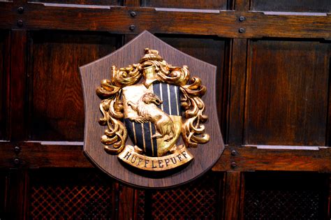 Why Being A Hufflepuff Is Actually The Best | Thought Catalog