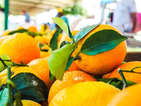Orange Fruits · Free Stock Photo