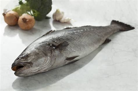 You can also choose from wooden buy fishes online, as well as there are 350 suppliers who sells buy fishes online on alibaba.com, mainly located in asia. Ghol Fish / Jewfish : Buy online | freshtohome.com