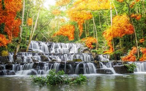 Download Wallpapers Cascade Waterfall River Autumn Landscape Forest