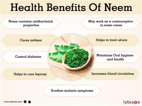 Whether it is wrinkles, acne, fine lines, blackheads, uneven skin tone. Health Benefits Of Neem Powder, 10 Hilarious -benefits-of ...
