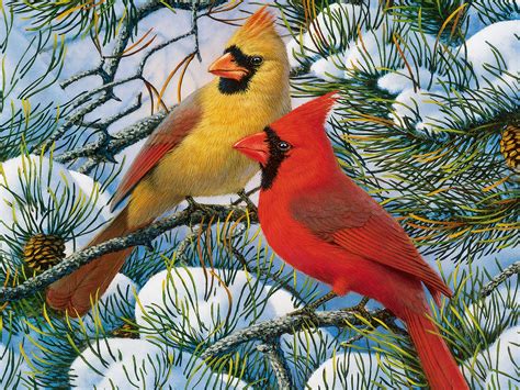 Free Red Bird Winter Wallpaper - WallpaperSafari