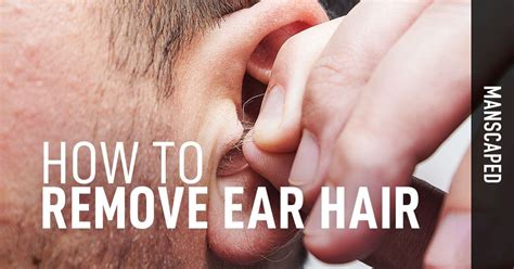 Ear Hair Removal How To Remove Ear Hair Updated MANSCAPED Blog