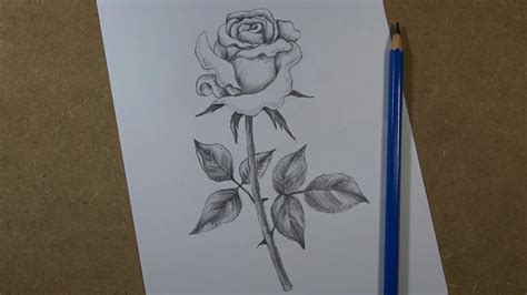 How To Draw A Realistic Rose Step By Step Pencil Youtube