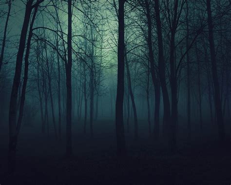Dark Forest Beautiful Natural Scenery Wallpaper Preview