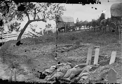 Confederate Dead At Gettysburg Encyclopedia Virginia
