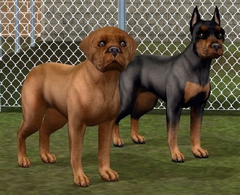 Mod The Sims 2 More Junkyard Dogs